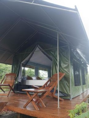 Makulu Jungle Camping Sigiriya